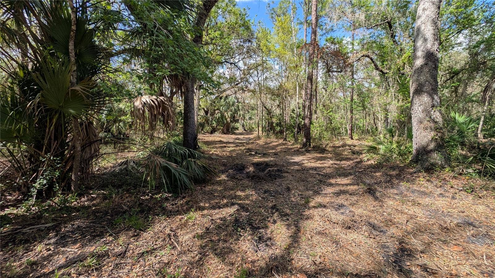 GILLETTE ROAD, Zolfo Springs, FL 33890 GILLETTE ROAD, Zolfo Springs, FL 33890