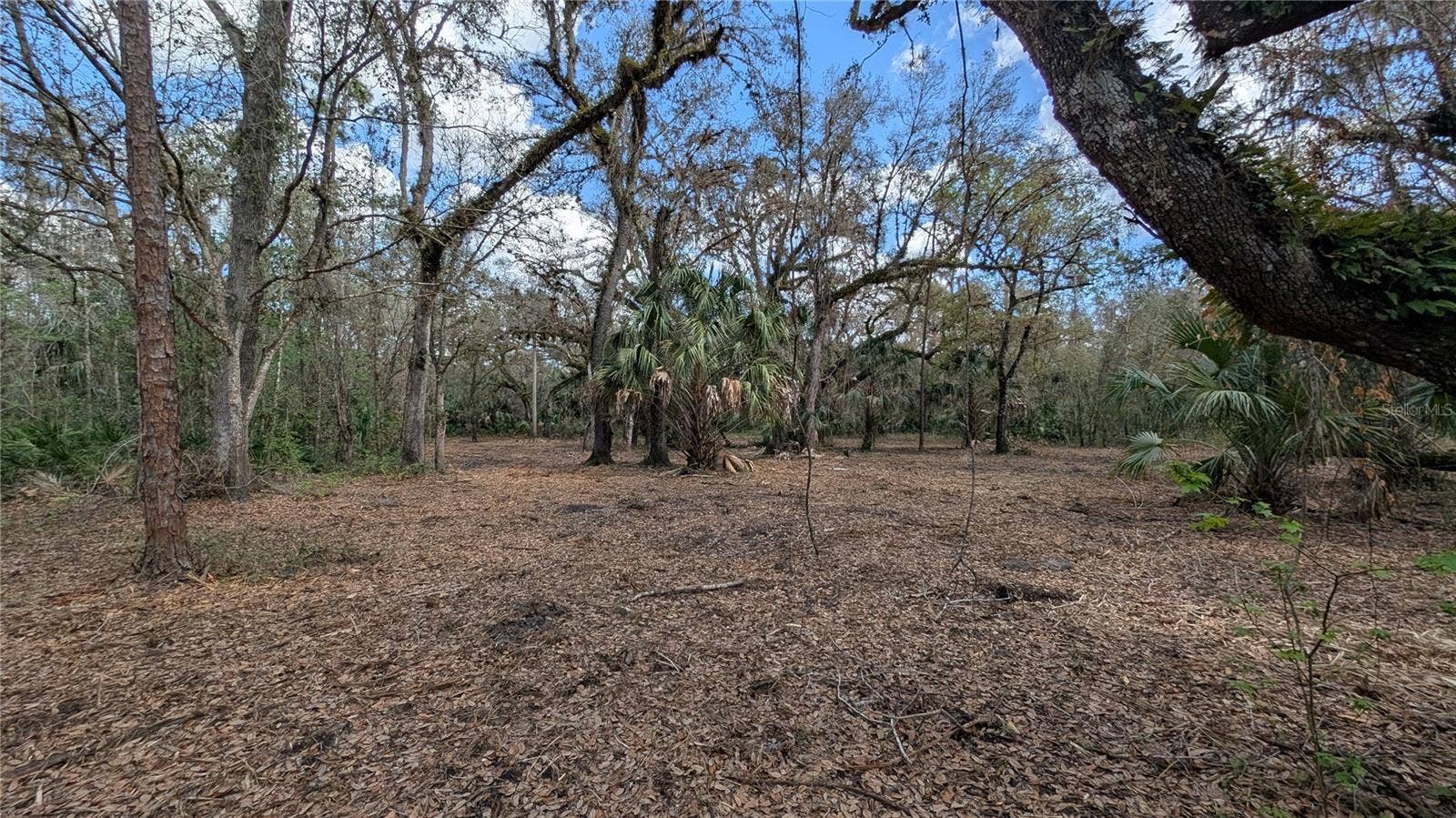 GILLETTE ROAD, Zolfo Springs, FL 33890 GILLETTE ROAD, Zolfo Springs, FL 33890
