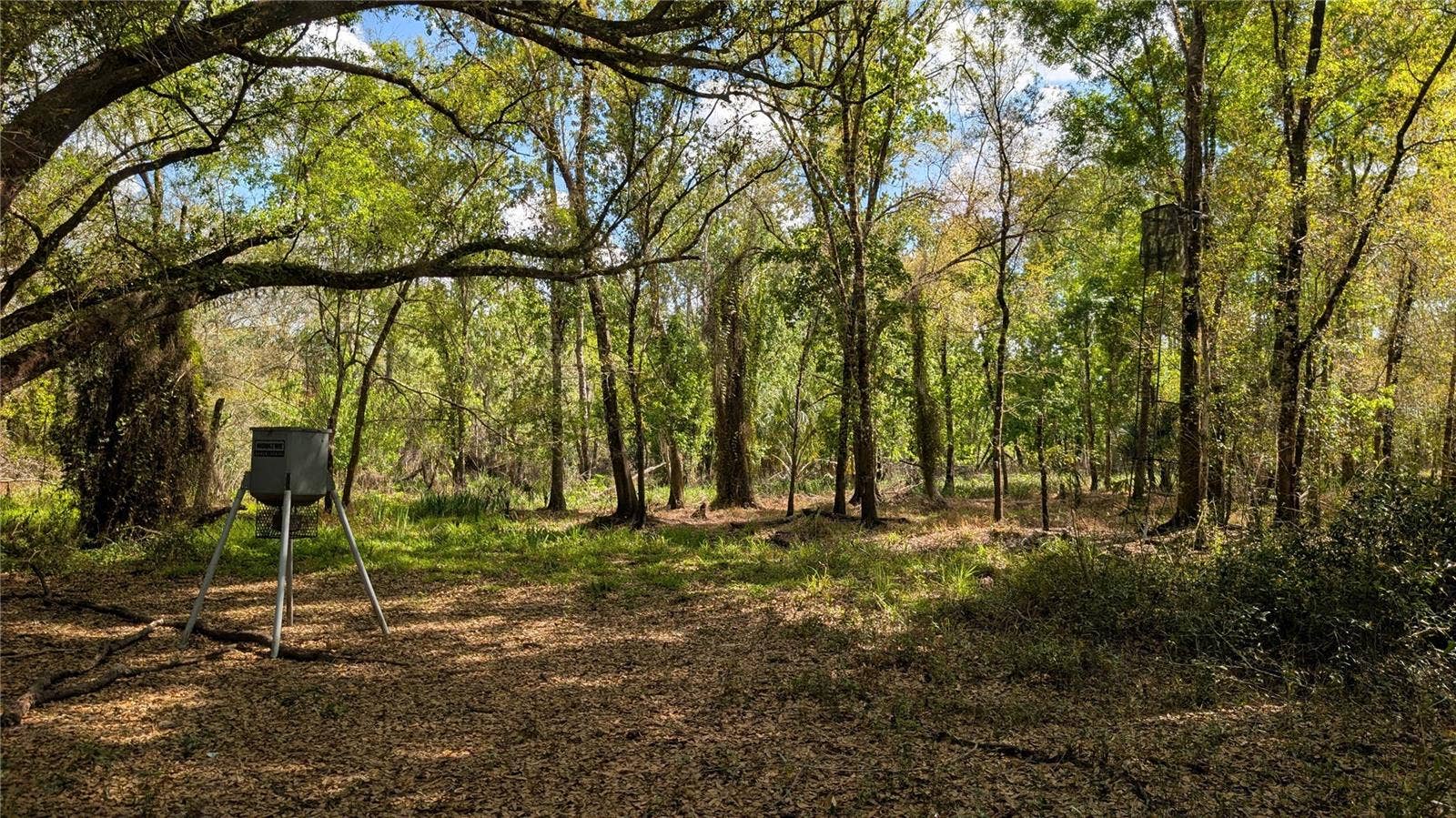 GILLETTE ROAD, Zolfo Springs, FL 33890 GILLETTE ROAD, Zolfo Springs, FL 33890