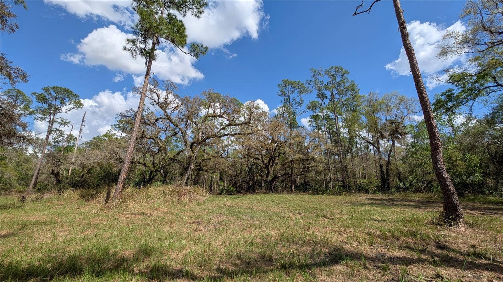 GILLETTE ROAD, Zolfo Springs, FL 33890 GILLETTE ROAD, Zolfo Springs, FL 33890