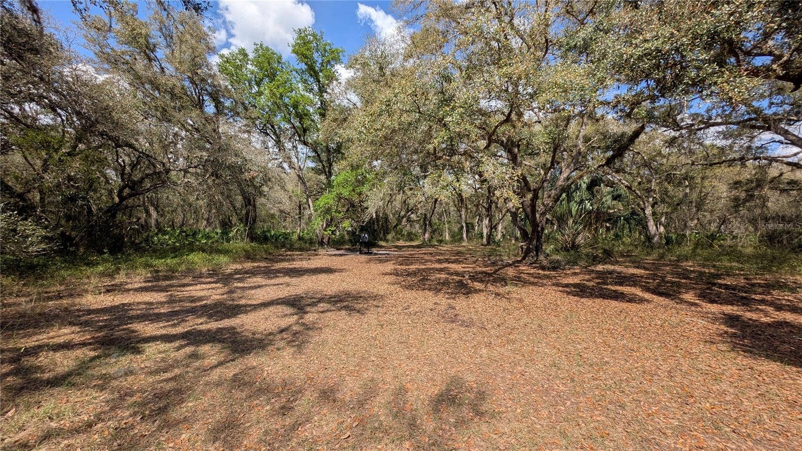 GILLETTE ROAD, Zolfo Springs, FL 33890 GILLETTE ROAD, Zolfo Springs, FL 33890