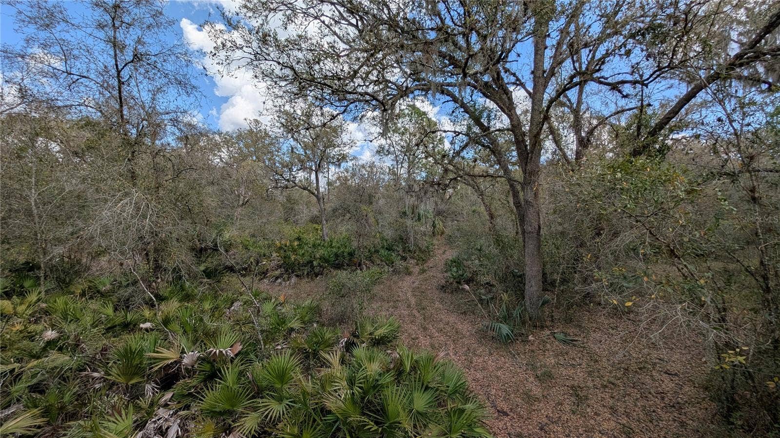 GILLETTE ROAD, Zolfo Springs, FL 33890 GILLETTE ROAD, Zolfo Springs, FL 33890