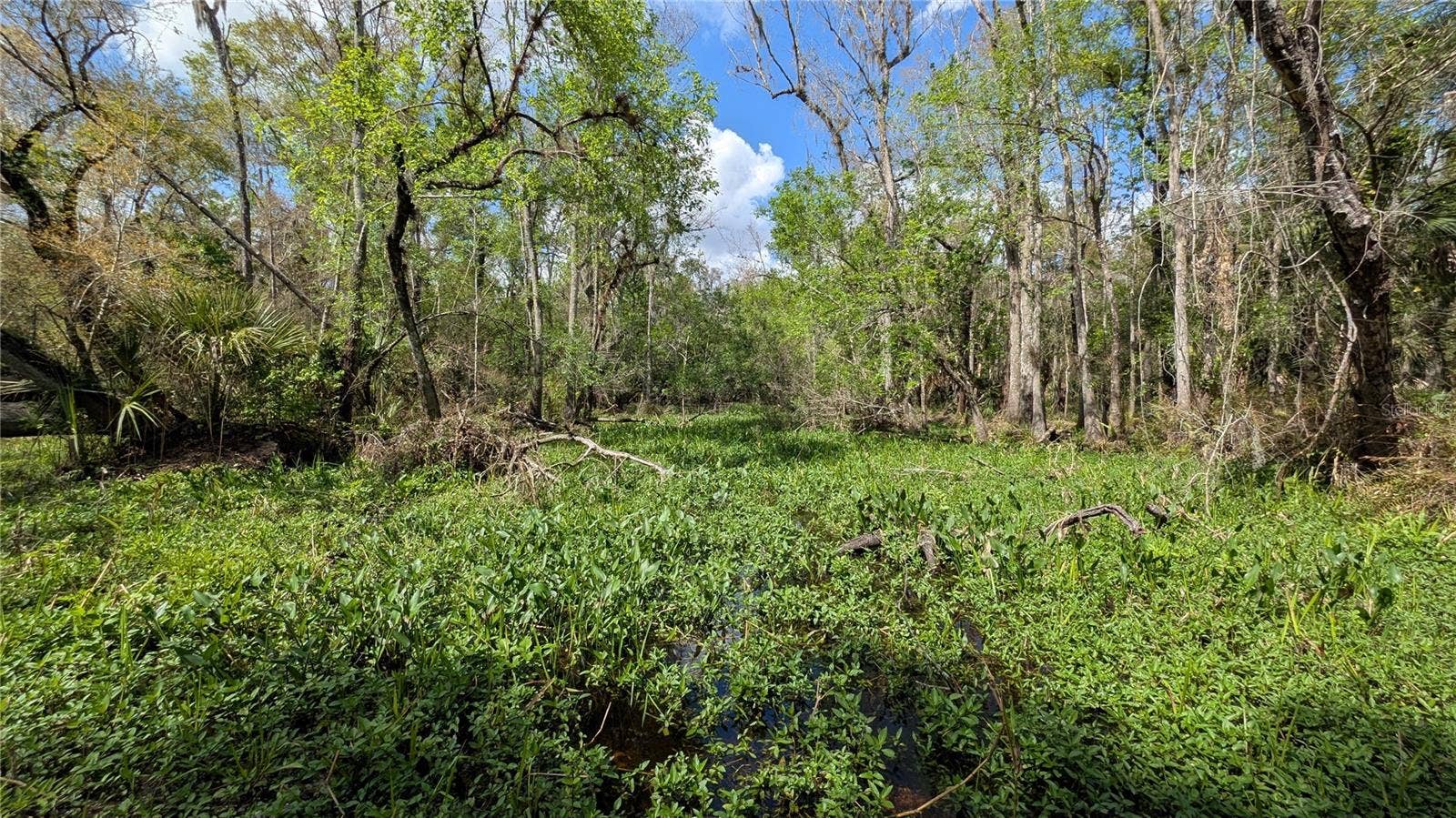 GILLETTE ROAD, Zolfo Springs, FL 33890 GILLETTE ROAD, Zolfo Springs, FL 33890