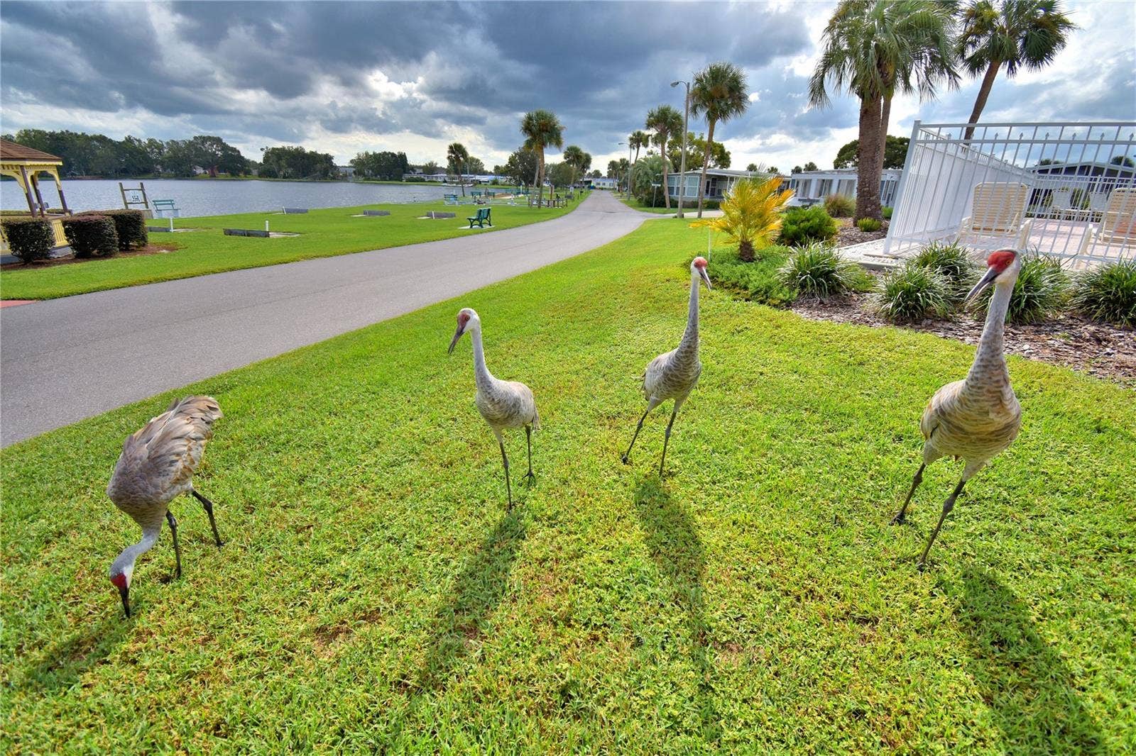 4235 CEDARWOOD STREET, Winter Haven, FL 33880 4235 CEDARWOOD STREET, Winter Haven, FL 33880