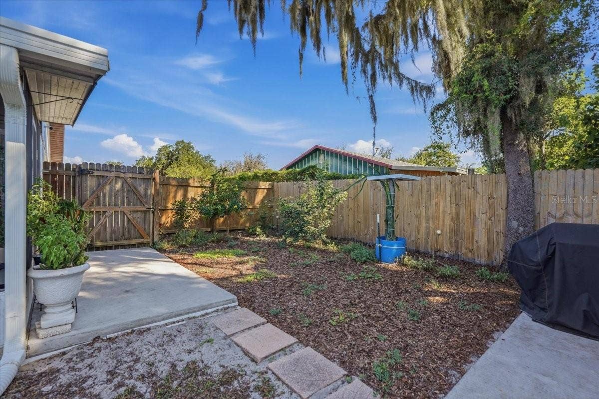 Backyard