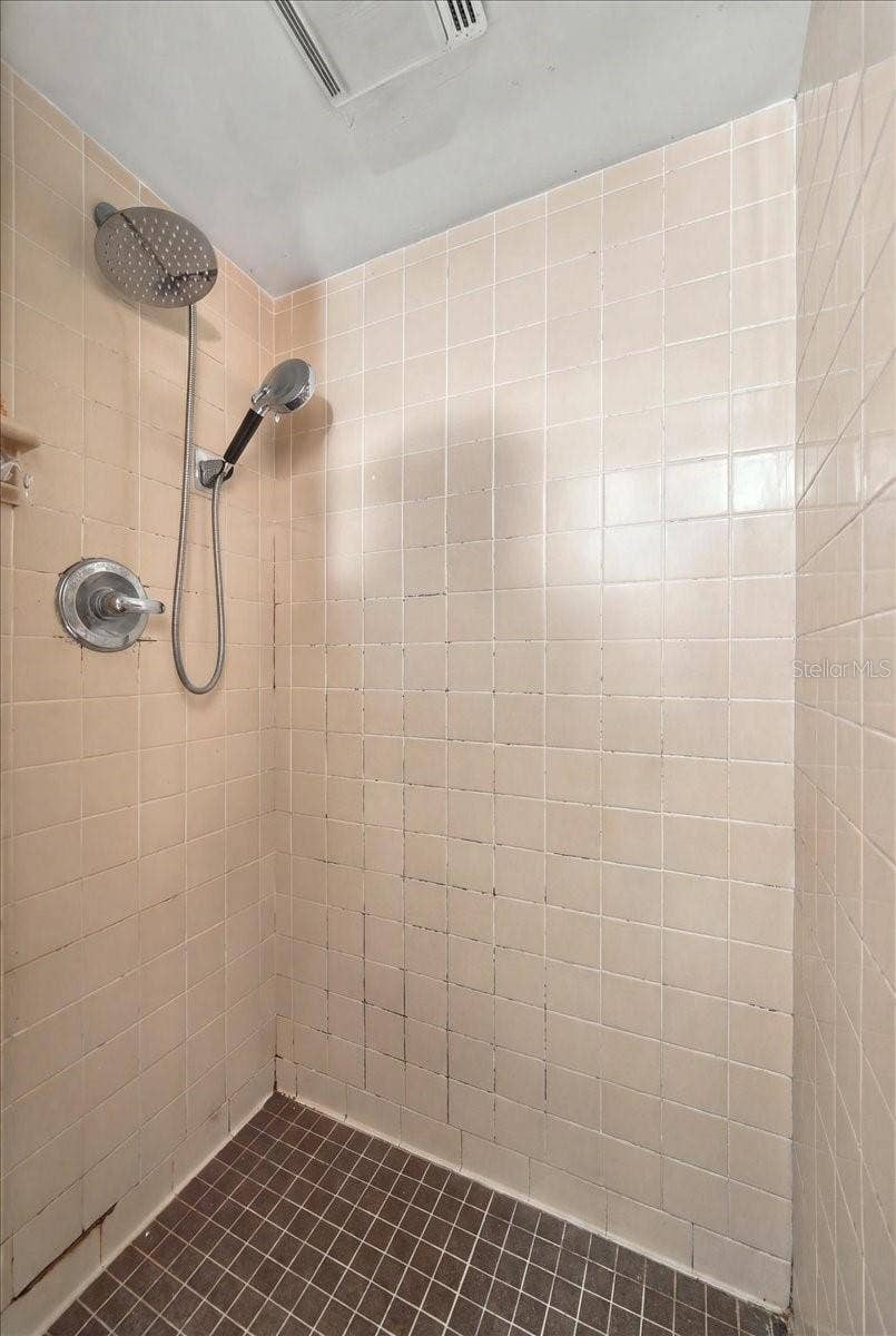 1501 N LAKE HOWARD DRIVE, Winter Haven, FL 33881 Guesthouse step-in shower