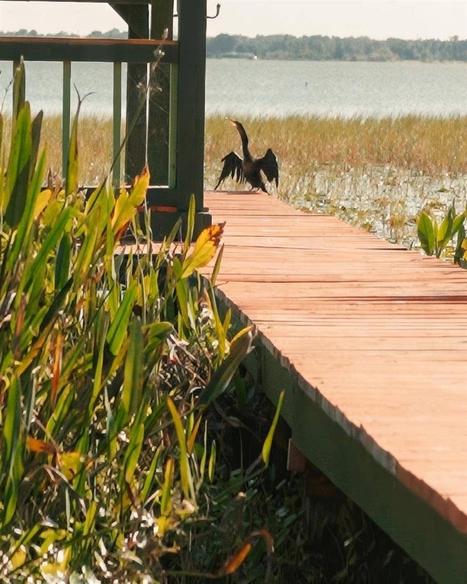 1501 N LAKE HOWARD DRIVE, Winter Haven, FL 33881 Anhinga on the Dock