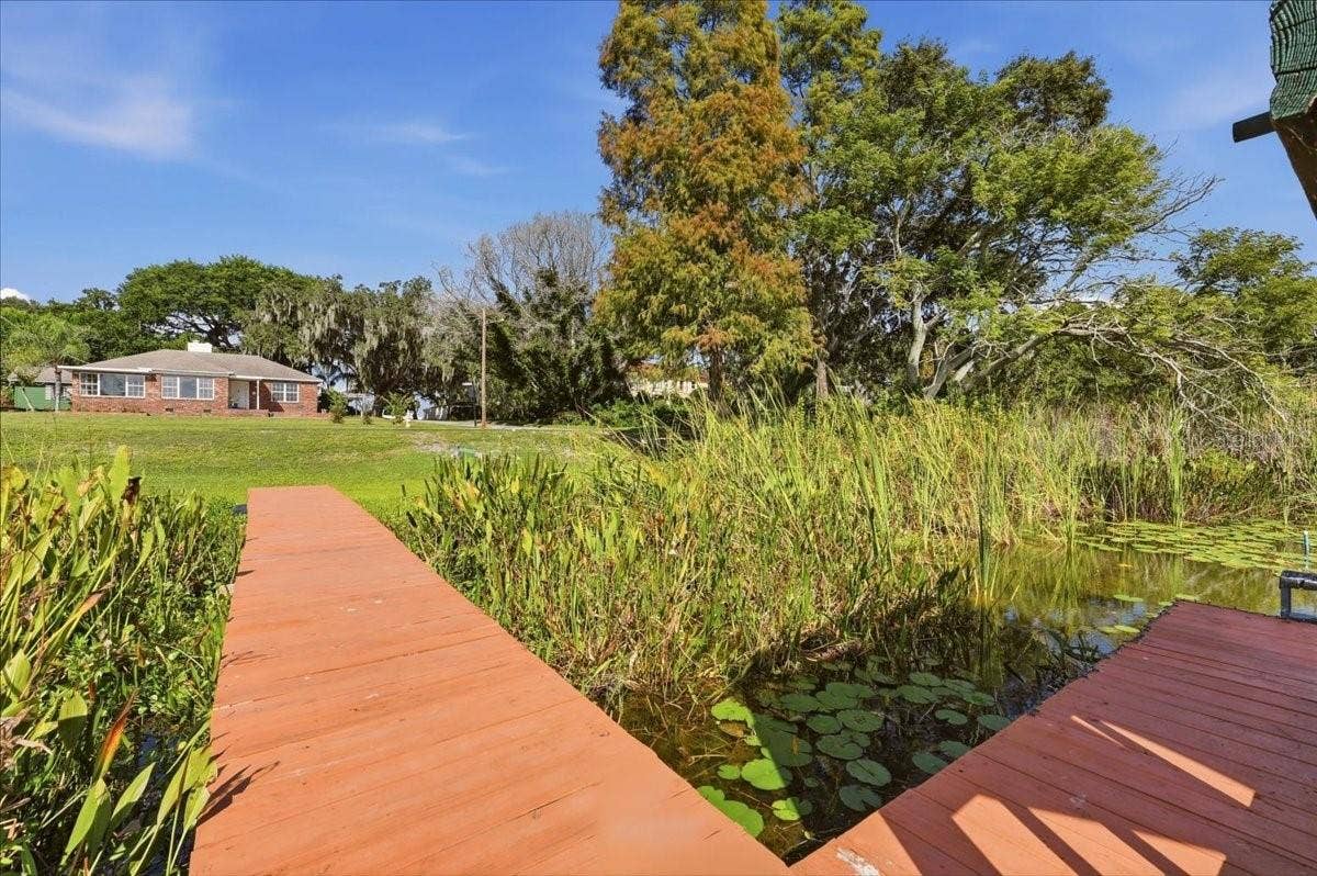 1501 N LAKE HOWARD DRIVE, Winter Haven, FL 33881 Coots jump around on these lily pads