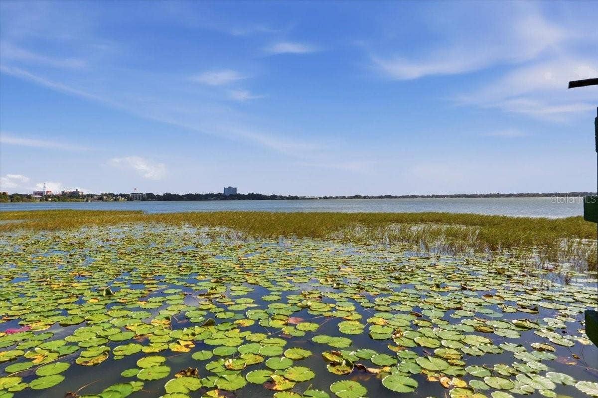 1501 N LAKE HOWARD DRIVE, Winter Haven, FL 33881 TONS of wildlife right off your dock