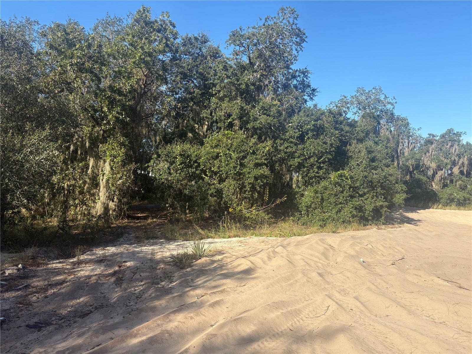 0 JENNY DRIVE, Lake Wales, FL 33898