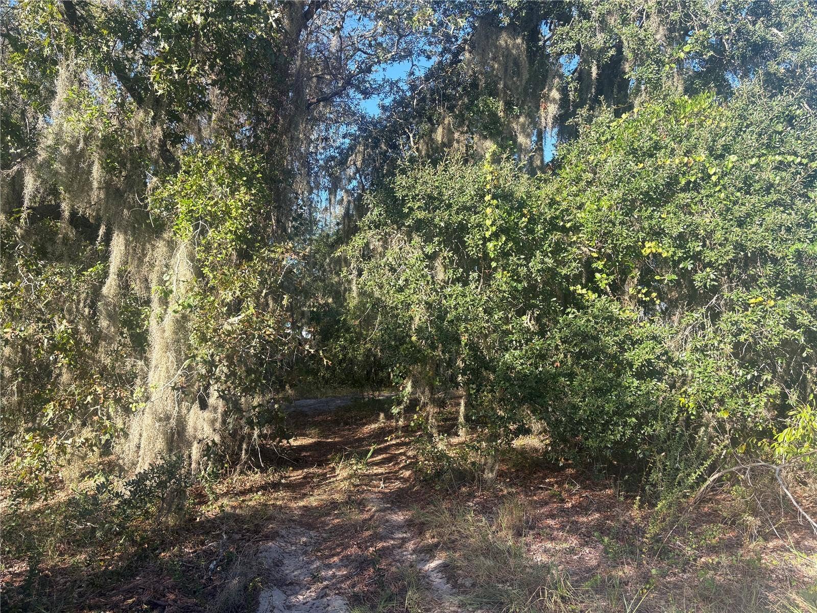 0 JENNY DRIVE, Lake Wales, FL 33898