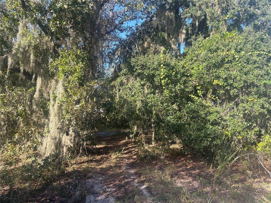 Property photo for 0 JENNY DRIVE, Lake Wales, FL