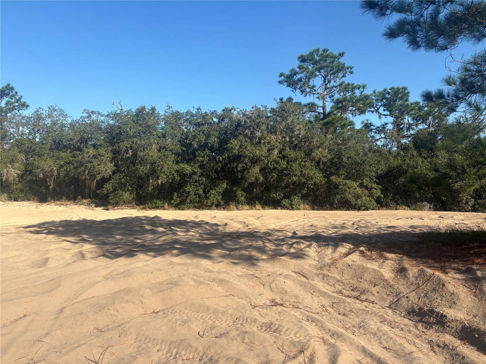 0 JENNY DRIVE, Lake Wales, FL 33898
