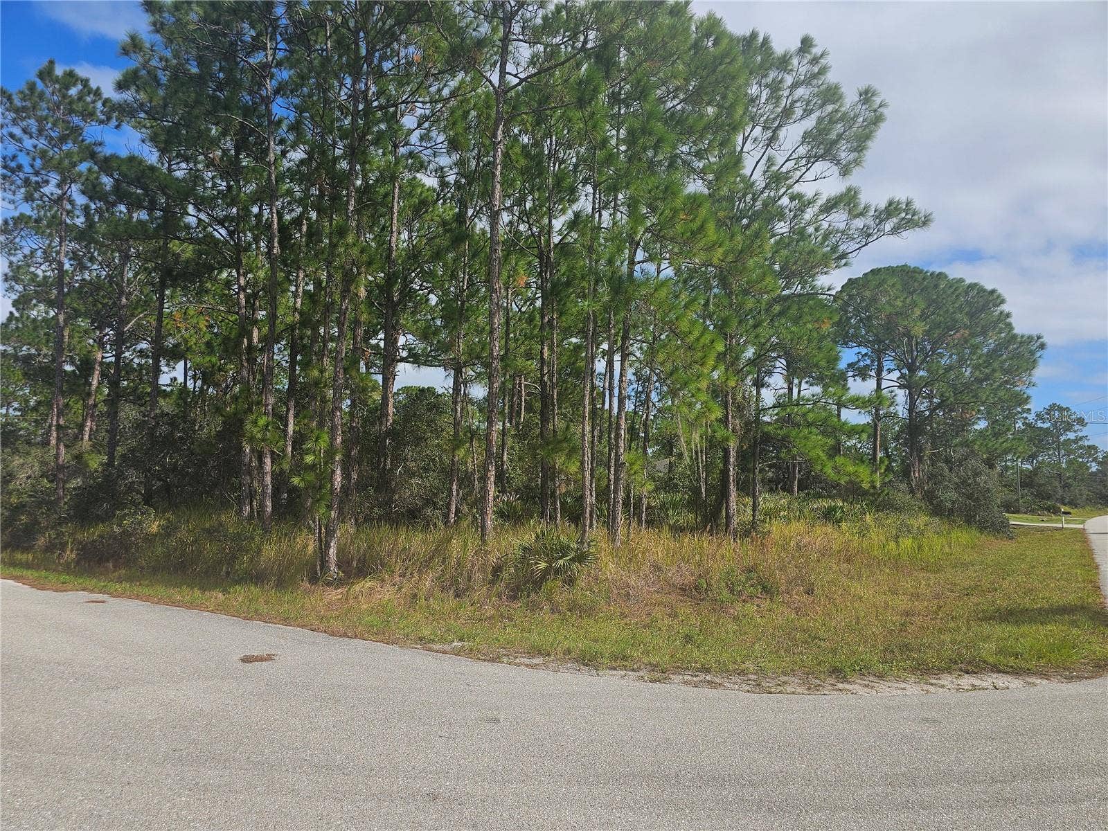 1147 WILDFLOWER STREET, Lake Placid, FL 33852 Paved on 2 sides, maximize your access!
