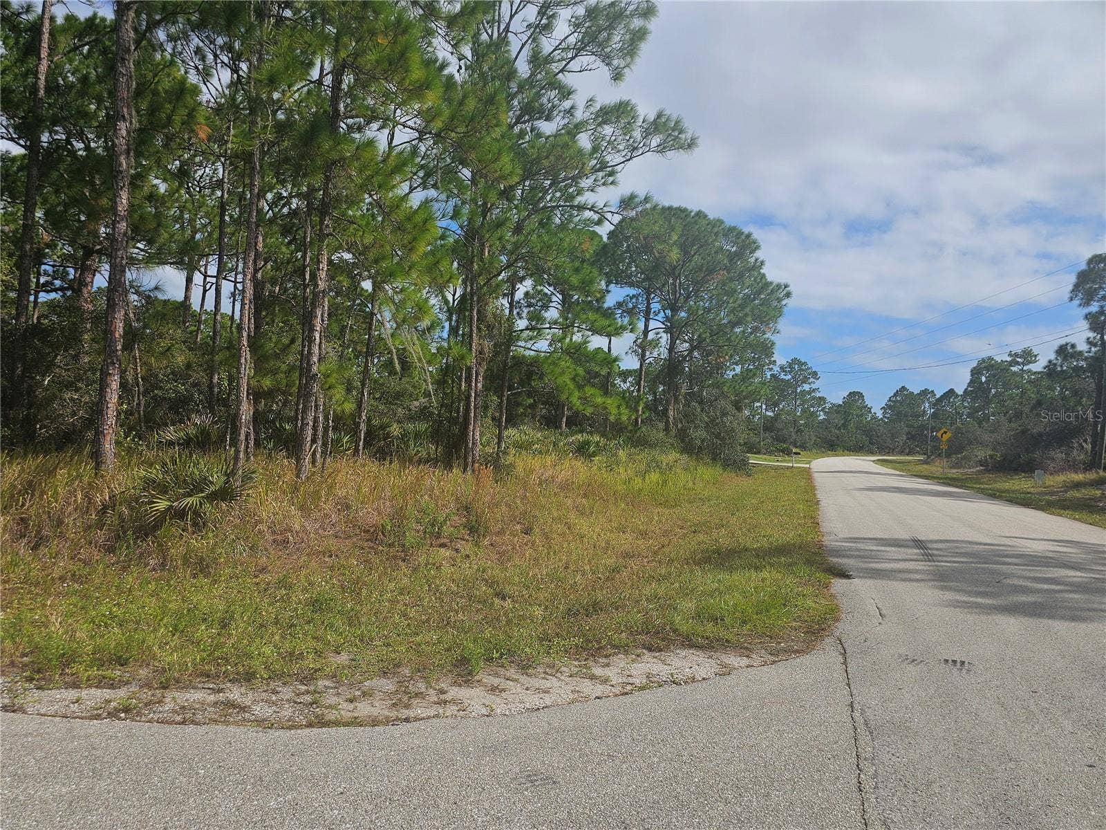 1147 WILDFLOWER STREET, Lake Placid, FL 33852 Secluded wooded lots for sale, check it out!