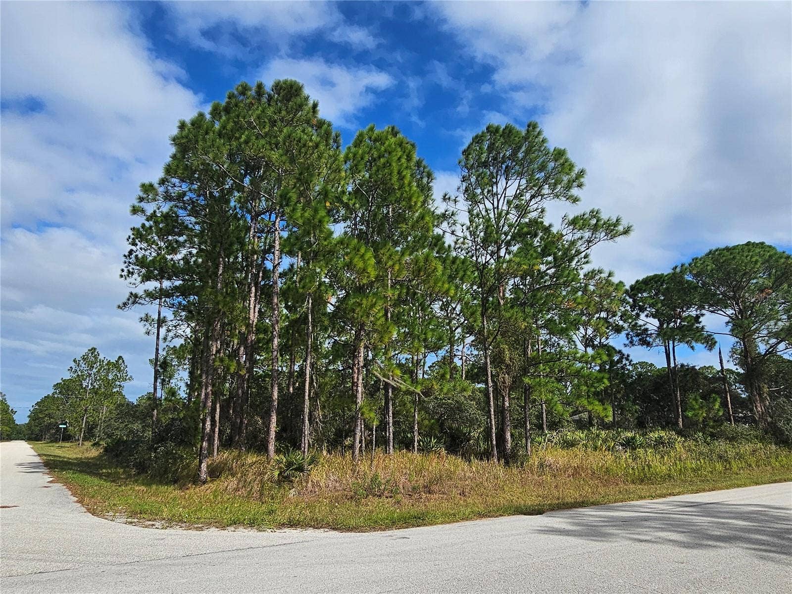 1147 WILDFLOWER STREET, Lake Placid, FL 33852 The possibilities are endless, hold for investment, build 1 or 2 homes, or build 1 and sell the other. Multigenerational living can happen too!