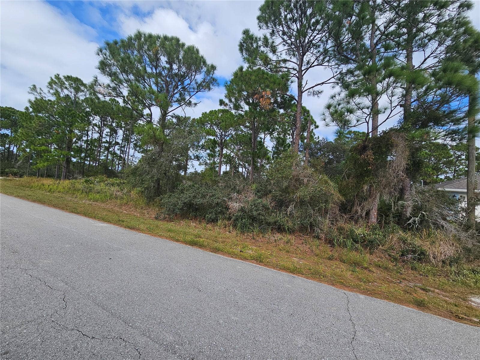 1147 WILDFLOWER STREET, Lake Placid, FL 33852 Visit the Town of murals and stay a while!