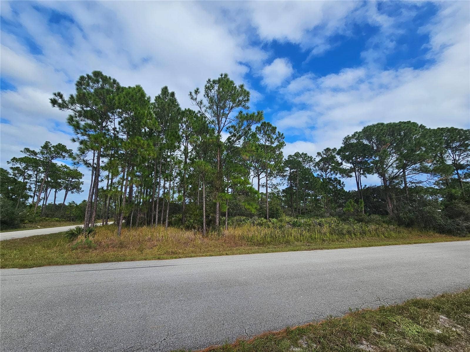 1147 WILDFLOWER STREET, Lake Placid, FL 33852 Imagine your new home here, beautiful wooded setting!