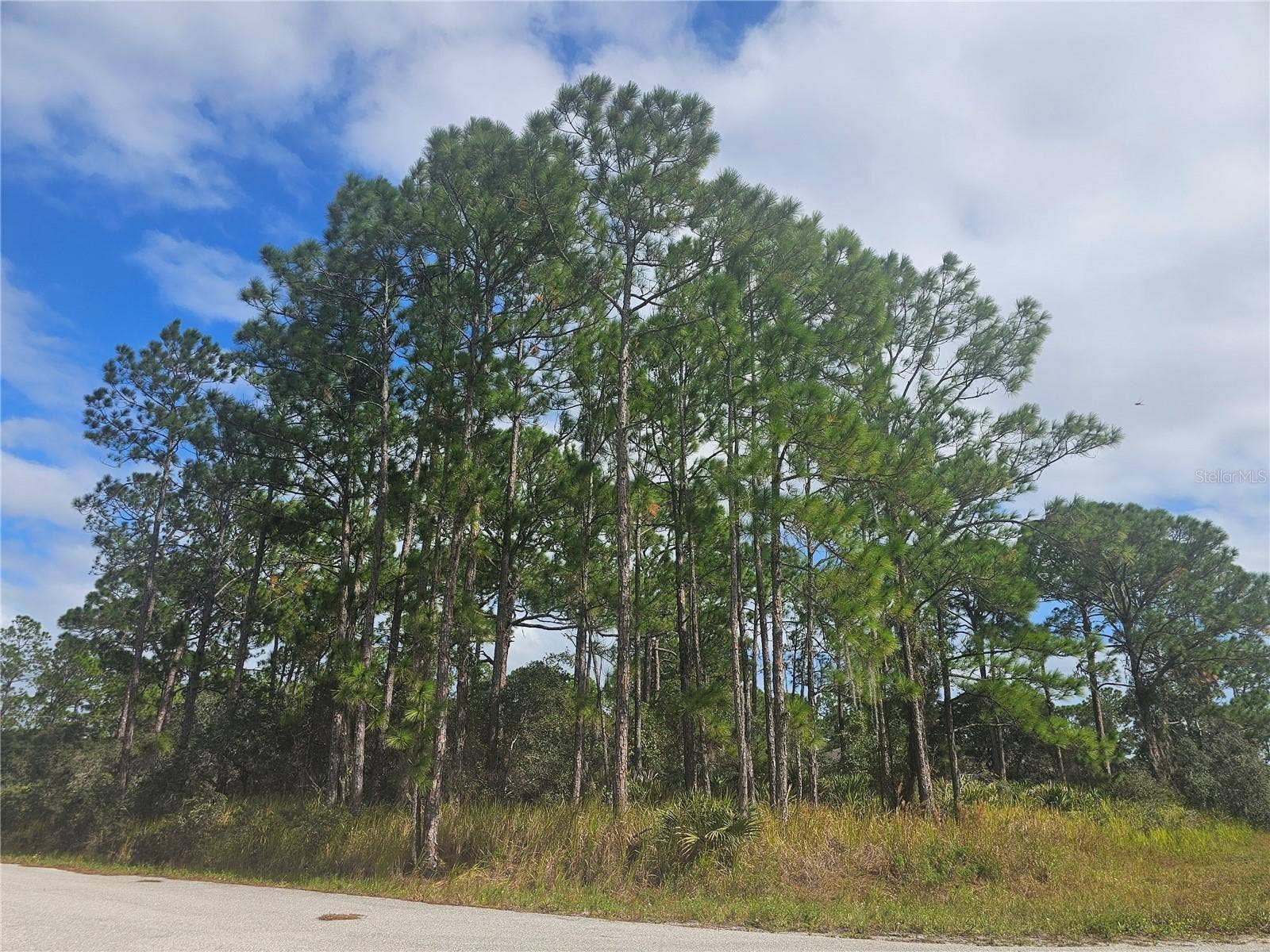 1147 WILDFLOWER STREET, Lake Placid, FL 33852 Vacant corner double lot for sale in Leisure Lakes.