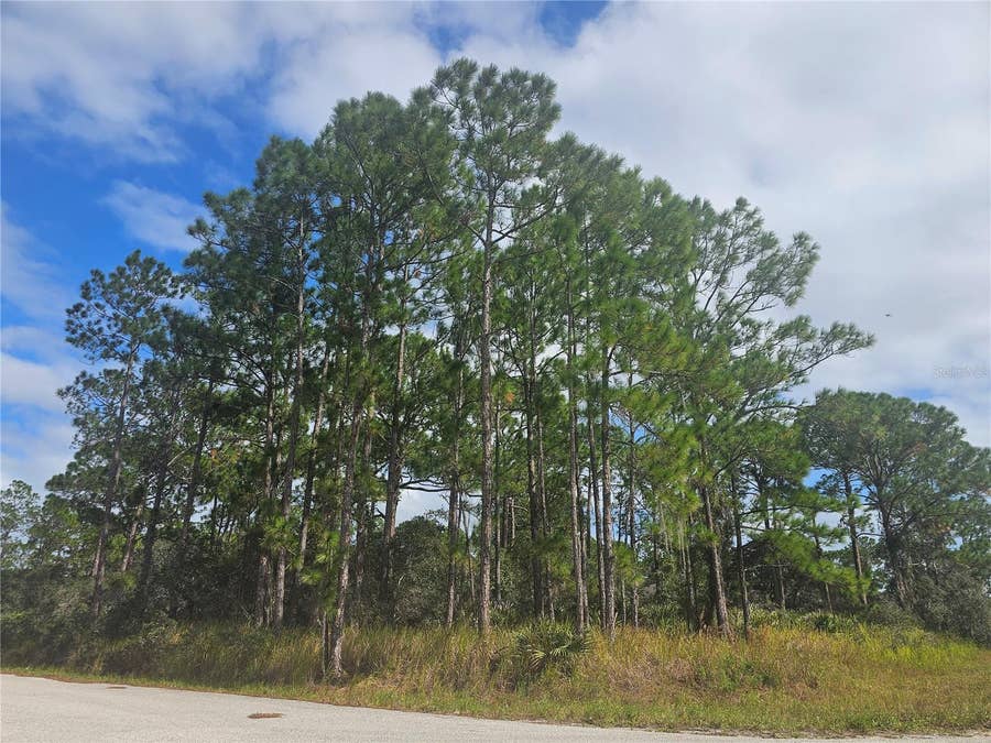 Property photo for 1147 WILDFLOWER STREET, Lake Placid, FL