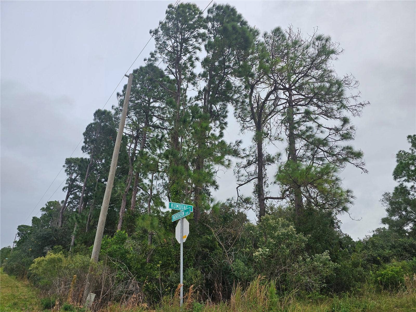 Vacant lot for sale in secluded area of Leisure Lakes.