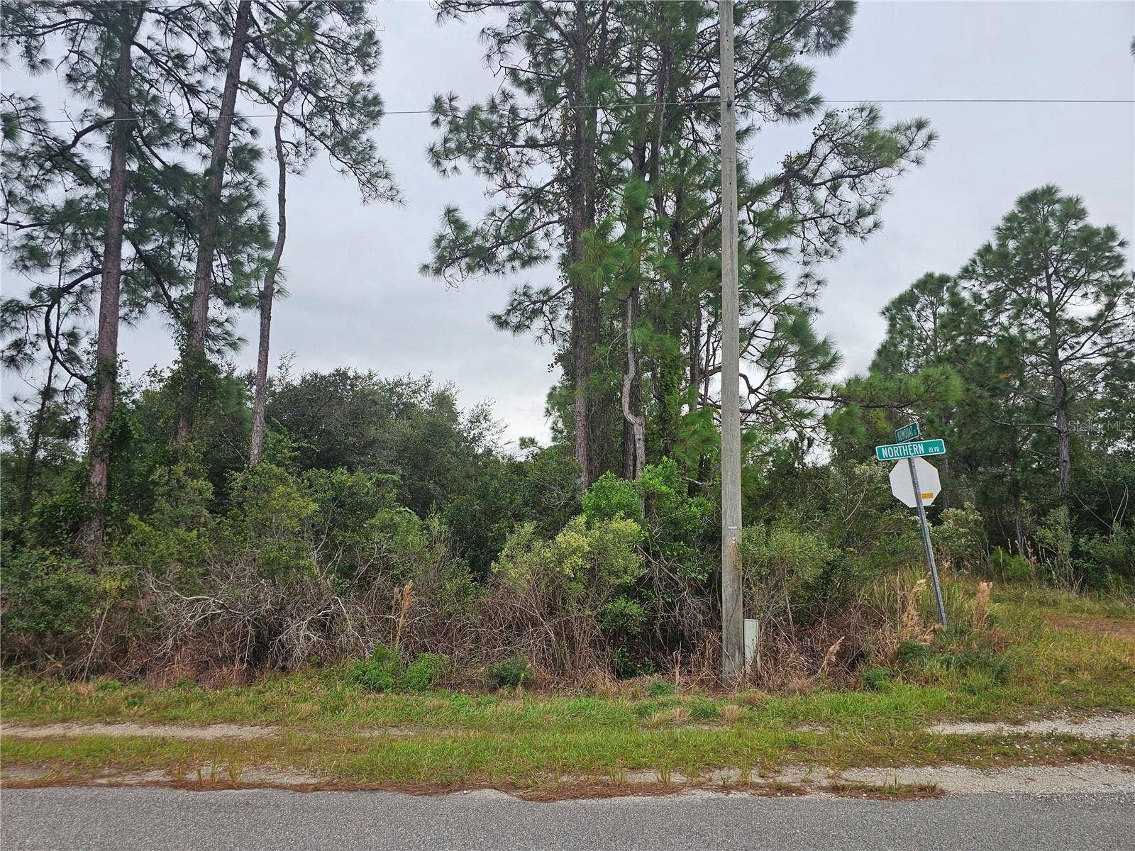 Wooded corner lot for sale.