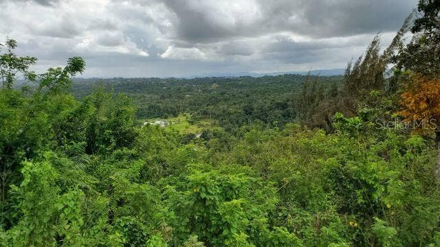 Property photo for KM. 1.8 PR-678, Vega Alta, PR