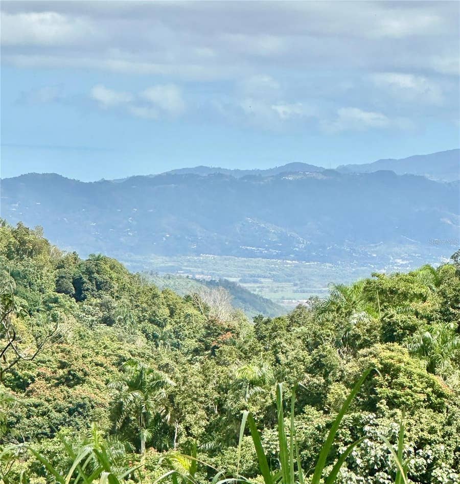Property photo for ROAD 785 KM.HM 4 BARRIO CAGUITAS, Aguas Buenas, PR