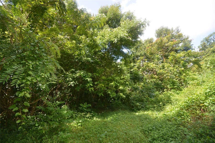 Property photo for Bo. Marzan PR-820, Toa Alta, PR