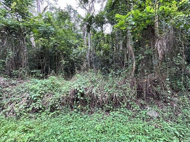 Property photo for Bo. Candelaria PR 647 CAMPO NUEVO -AZUCENA ST., #1, Vega Alta, PR