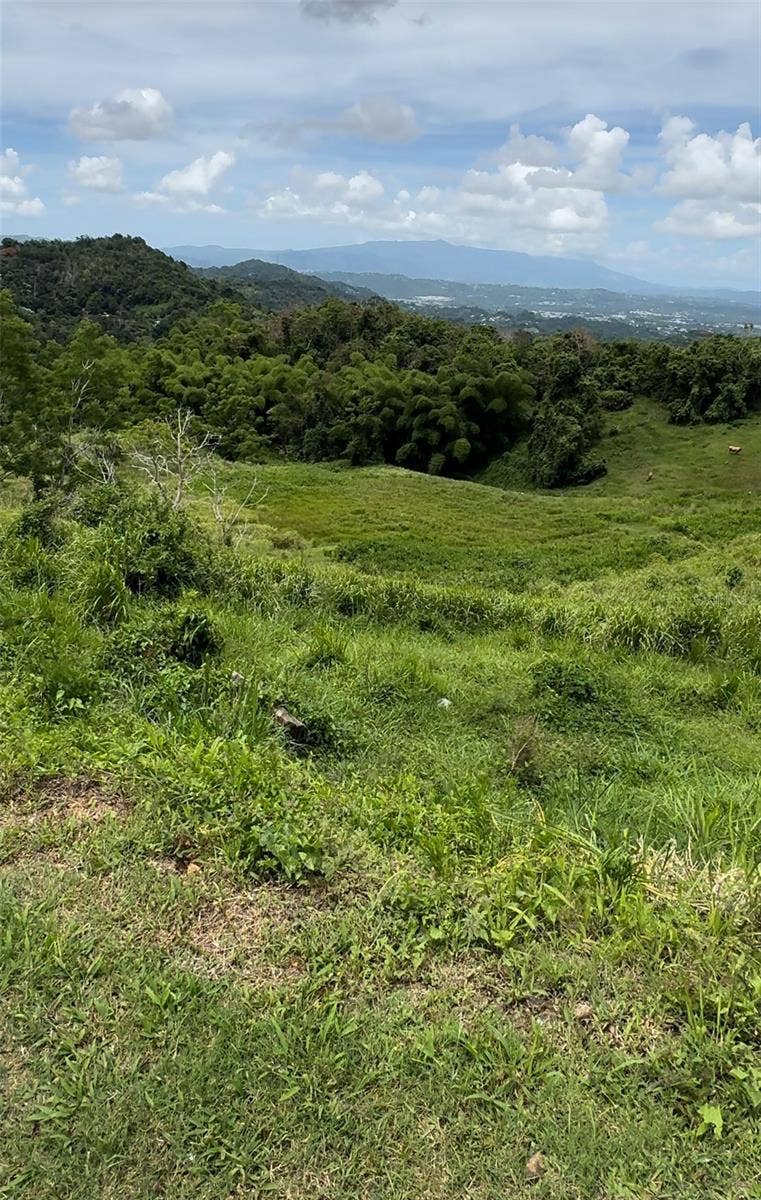 Property photo for 87.29 cuerdas Bo.Quemados CARR 7788 KM HM 2.2, San Lorenzo, PR