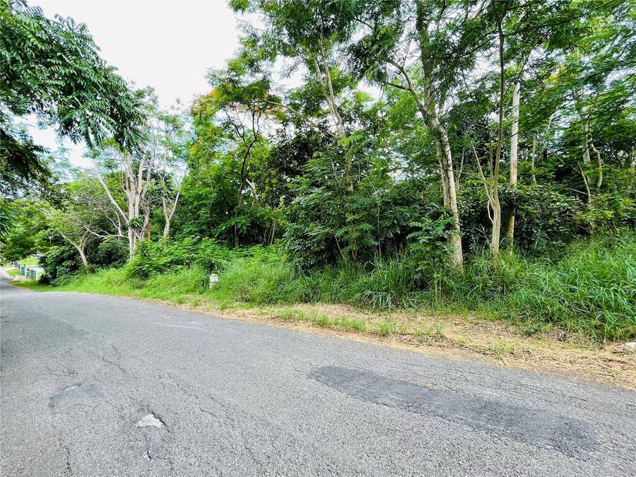 Property photo for CARR 100 KM 5.2 BO. MIRADERO, Cabo Rojo, PR