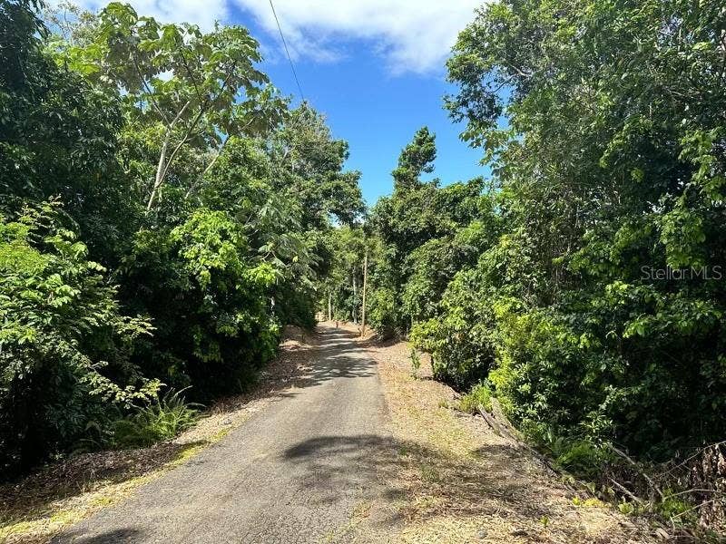 Property photo for Road PR-140 km 34.2 BARRIO DON ALONSO, Utuado, PR
