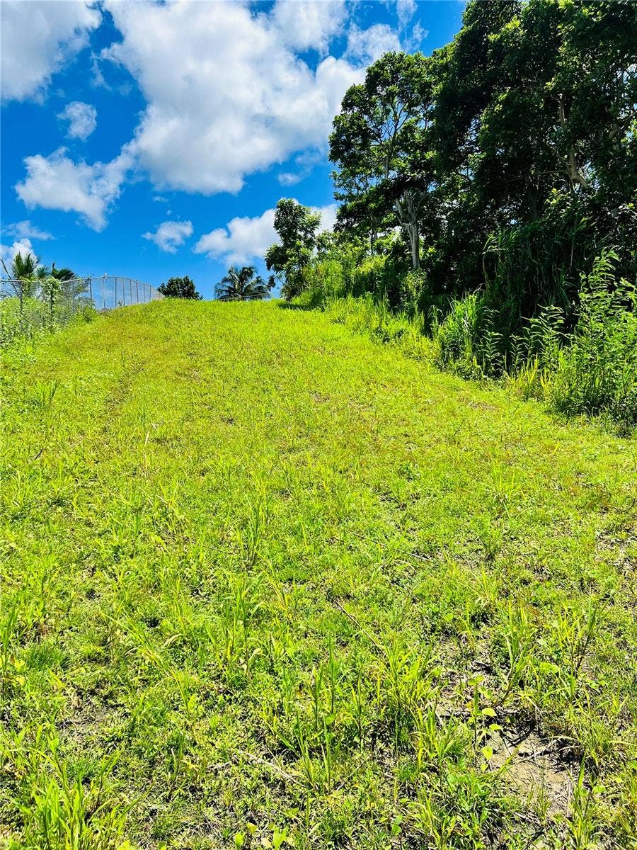 Property photo for 857 CARRETERA, Carolina, PR