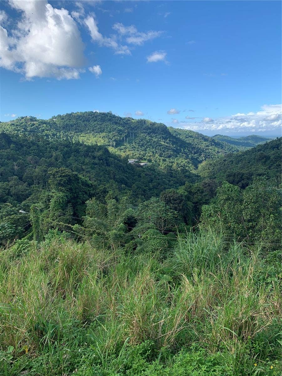 Property photo for 907 CARRETERA, #KM 2.2, Canovanas, PR
