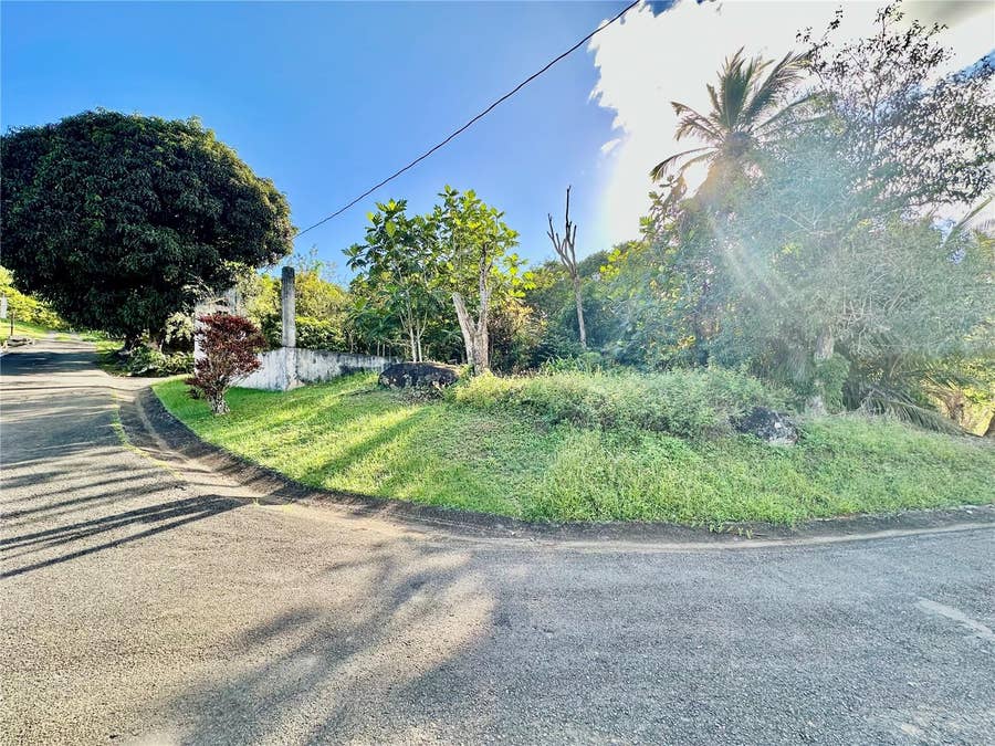 Property photo for Road 185 Barrio Cedros ROAD 185 BARRIO CEDROS, Carolina, PR