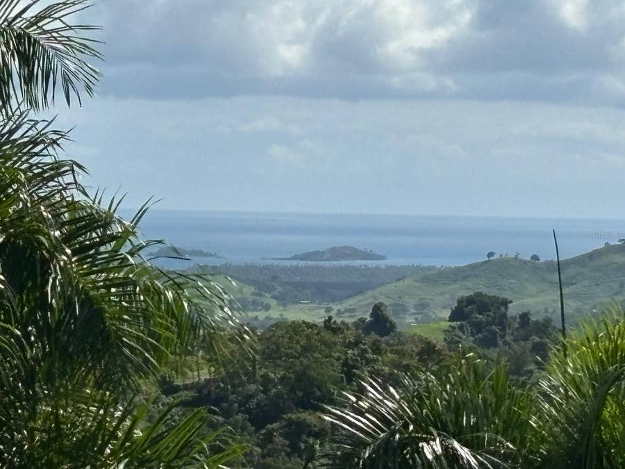 Property photo for 31 INT 950 KM.HM 9.7 BO RIO BLANCO, Naguabo, PR