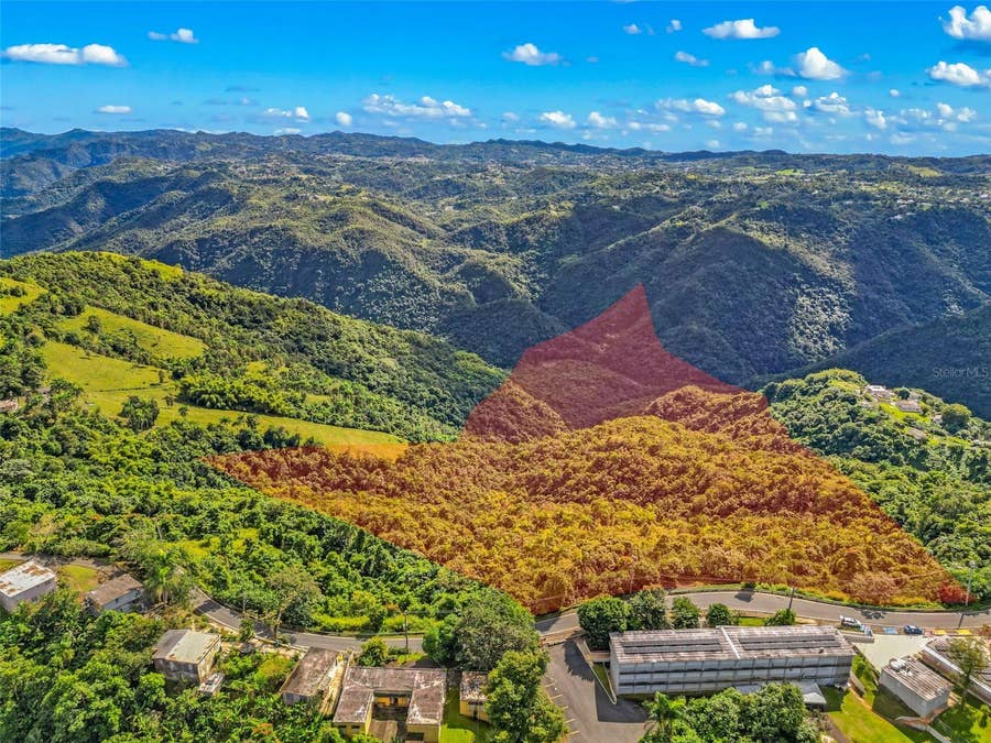 Property photo for Carr. 156 KM 20.1 INTERIOR BO. HONDURAS, Barranquitas, PR