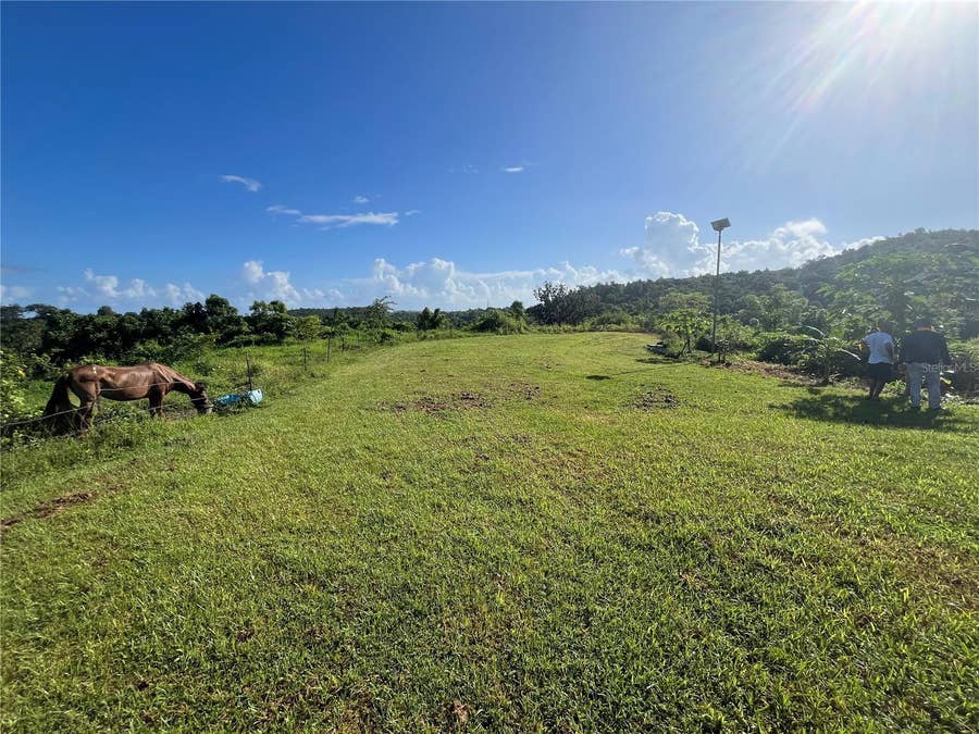 Property photo for CARR. 857 KM.HM 003 3 BO. CANOVANILLAS, Carolina, PR