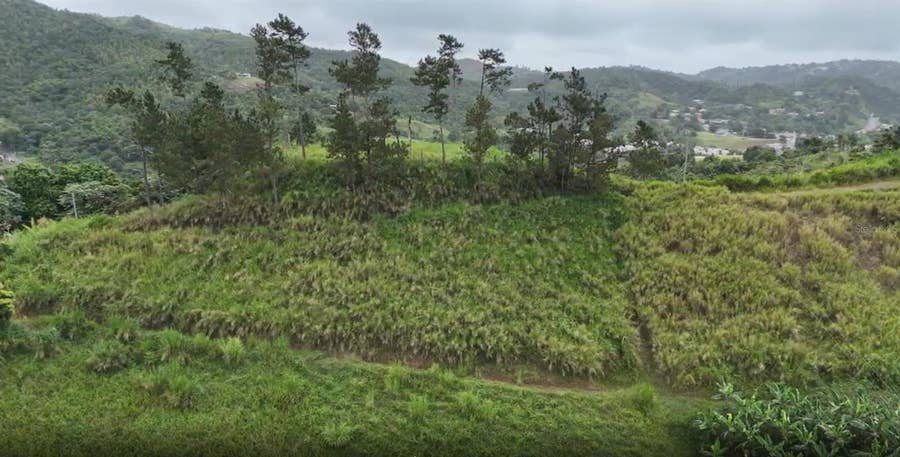 Property photo for KM 0.2 INT Bo. Helechal PR 152, Barranquitas, PR