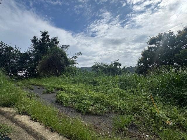 Property photo for 816 BO NUEVO, Bayamon, PR
