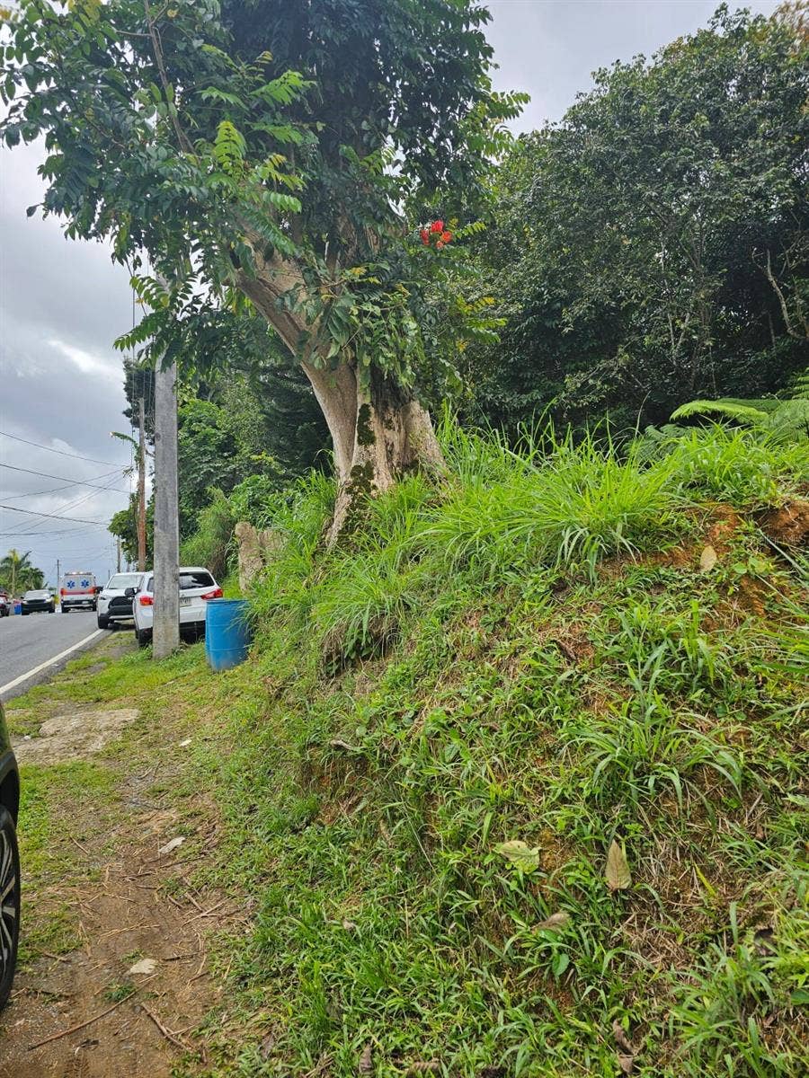 Property photo for BO MULAS PARC B, CARR 179 KM.HM 20.9, Aguas Buenas, PR