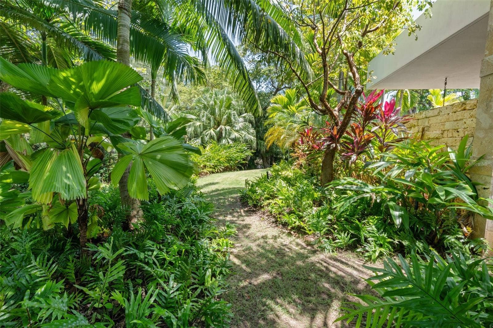 2200 DORADO BEACH DR, #3, Dorado, PR 00646 2200 DORADO BEACH DR, #3, Dorado, PR 00646