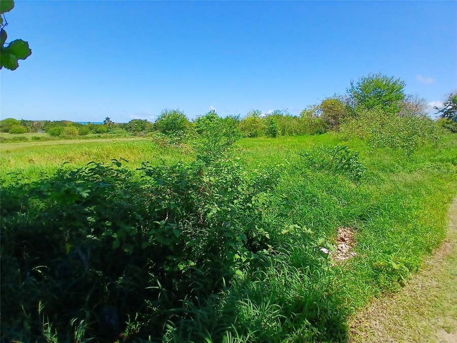 Property photo for 15.5 CARRETERA 681 KM.HM 15.5, Barceloneta, PR