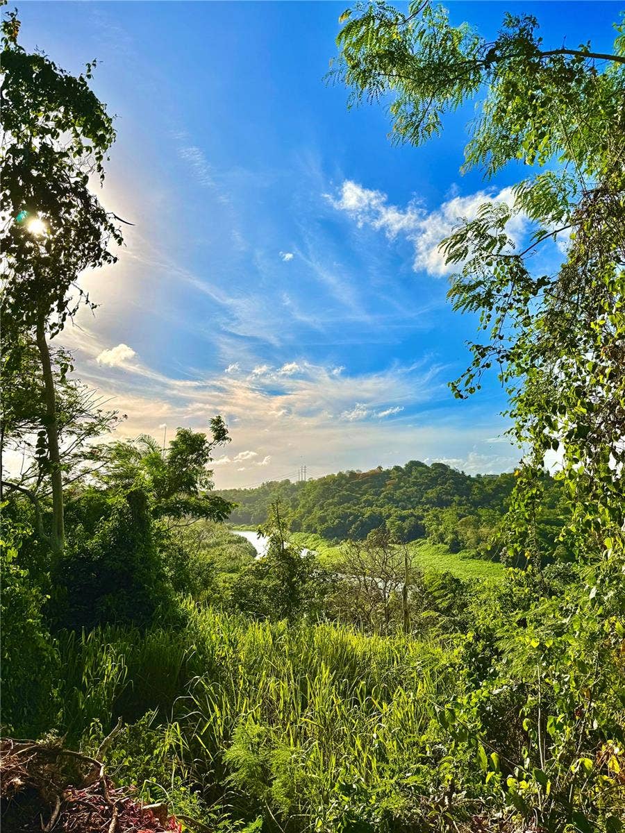 Property photo for BARRIO CACAO, Carolina, PR