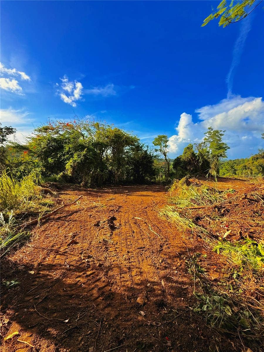 Property photo for BO. CACAO, Carolina, PR