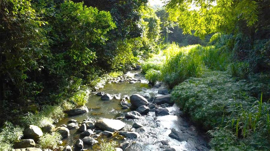 Property photo for Bo. Carruzo SECTOR LAS FLORES, Carolina, PR