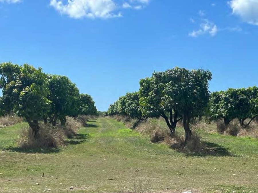 Property photo for PR-ROAD #1 KM. 40.7 INT., CINTRONA & SABANA WARD, Juana Diaz, PR