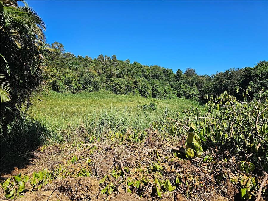 Property photo for PR-159, Morovis, PR