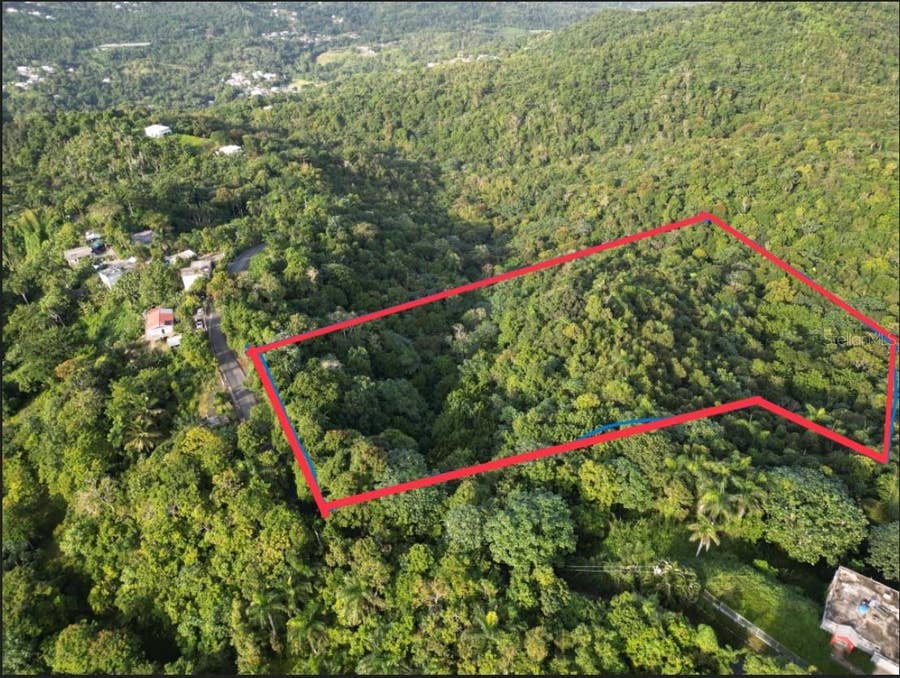 Property photo for BO CAGUITAS , CARR 785 KM.HM 4.2,, Aguas Buenas, PR